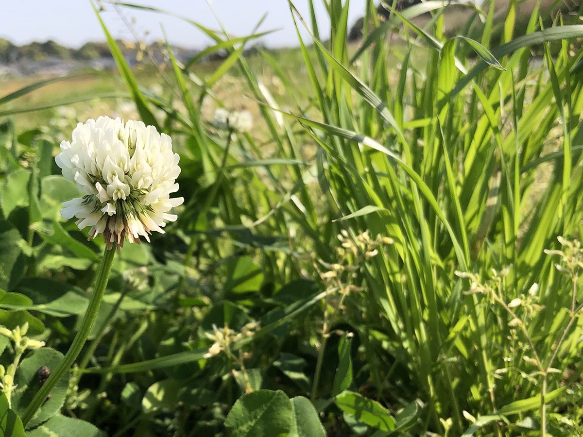 質の良さを感じるために。