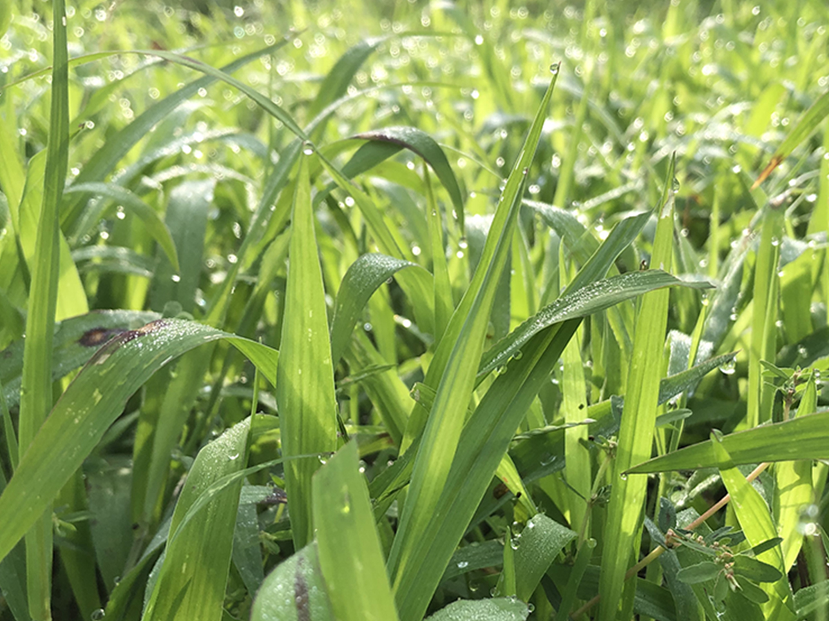 良質さとは「空気感」。