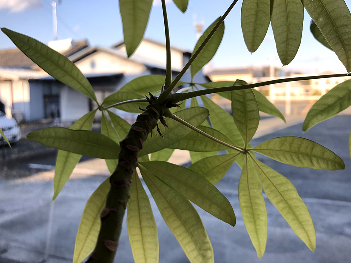 今年最後の営業を終えて。