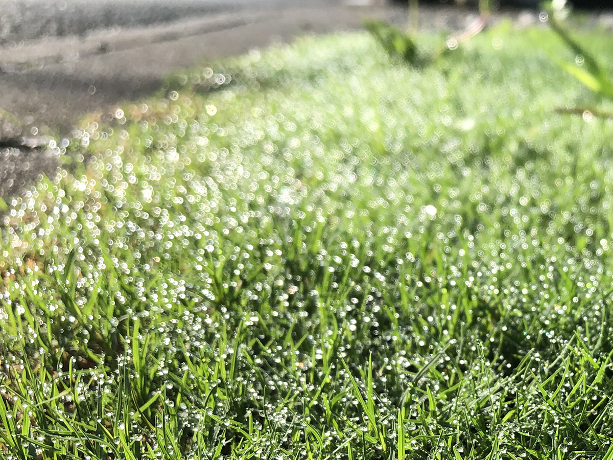 可能性を見落とさないために。