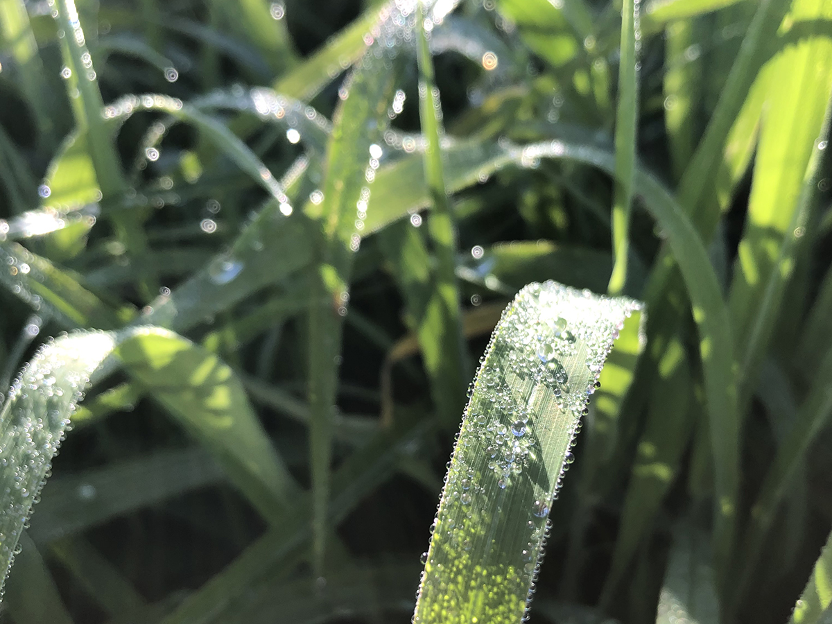 頭の中には無い新しい技法に気づくために。