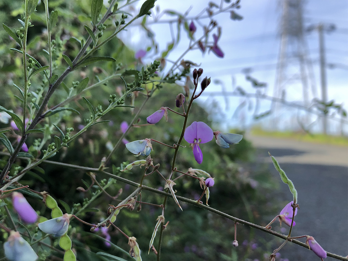 感情を載せることが表現なのだと思う。