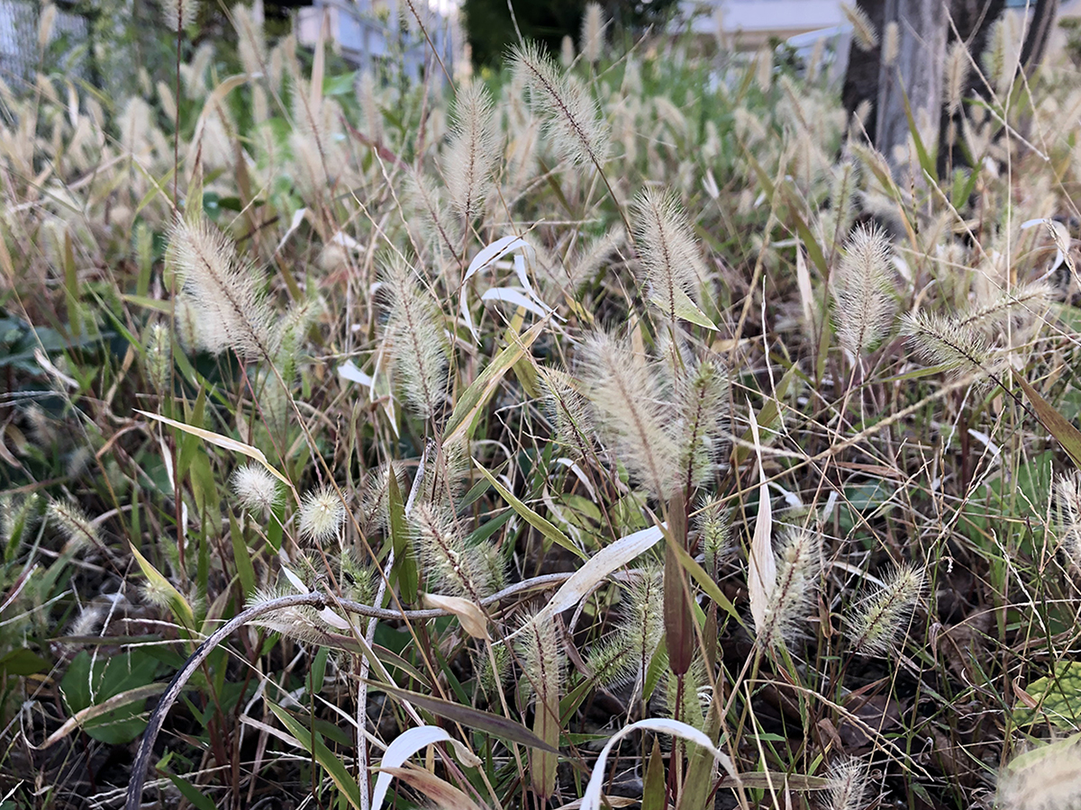 芋づる式という理解。