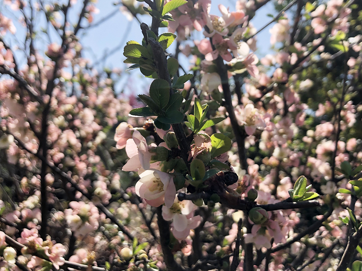 タイミングがすべて。