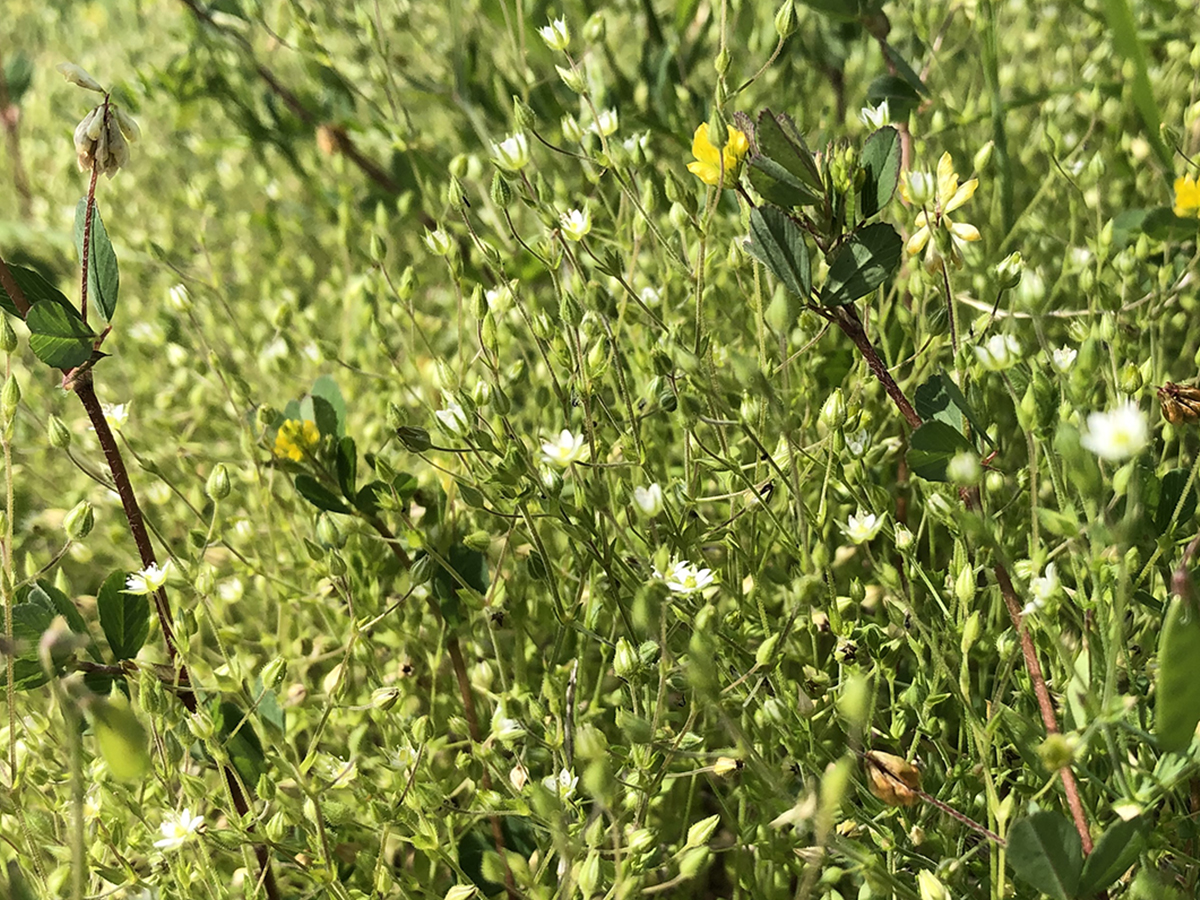 技法の意味。