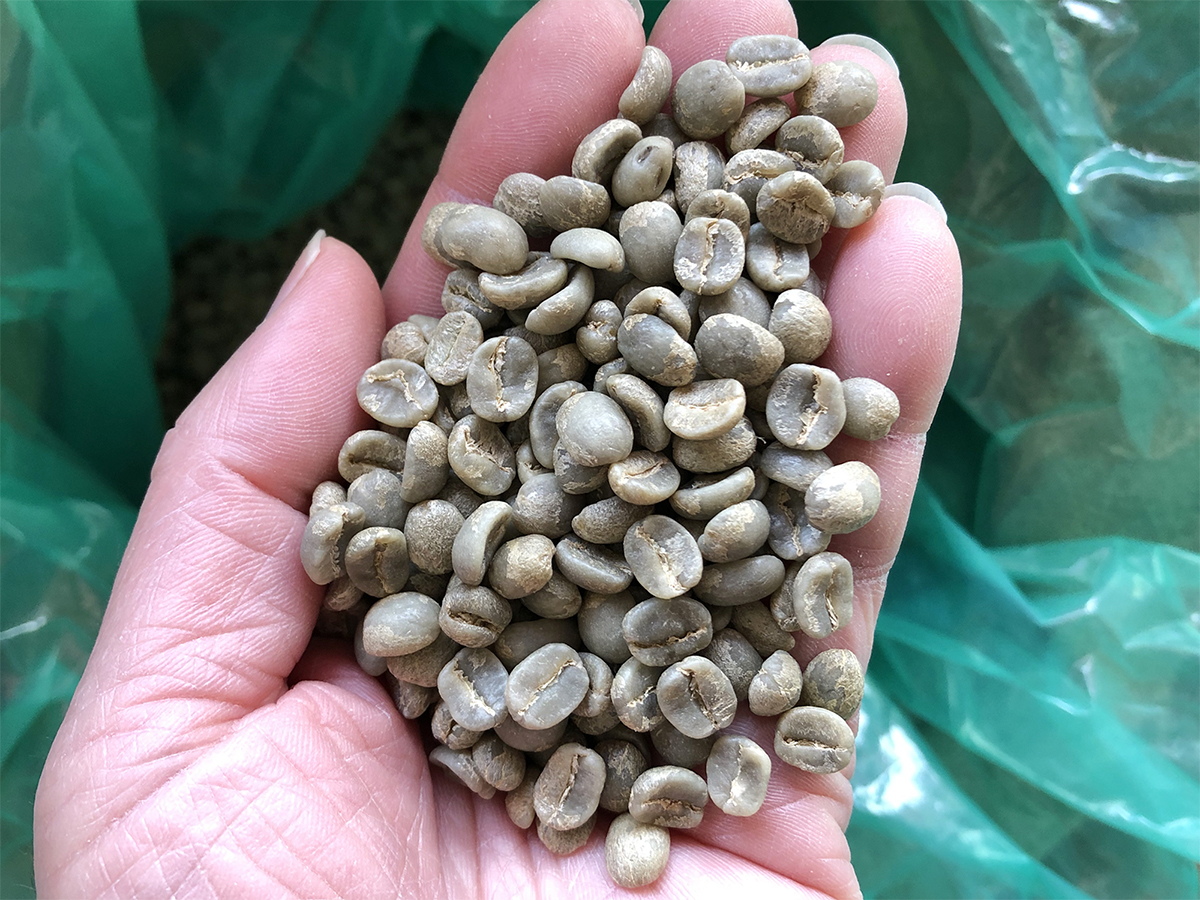 コモディティコーヒー生豆の価格の急騰による値上げの案内が届いた。