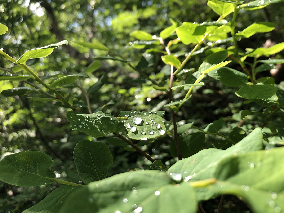 感じ取れなくては良いものを作ることは出来ない。という意味。