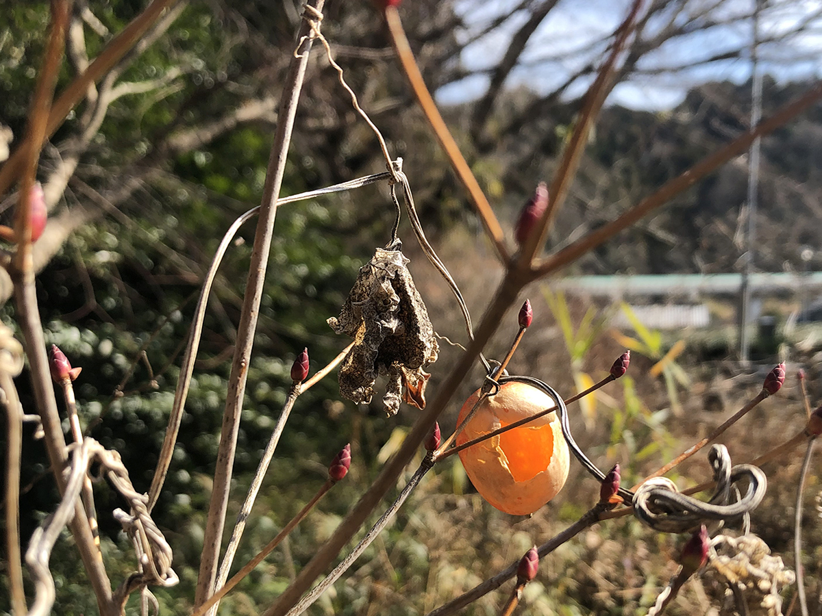 コーヒー焙煎の表現のためのロジック。