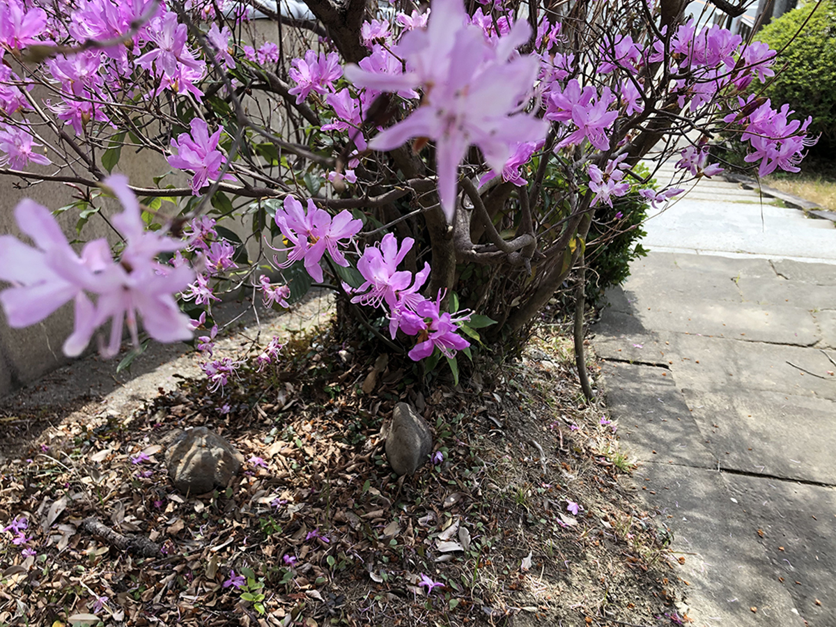 密度感と透明感。