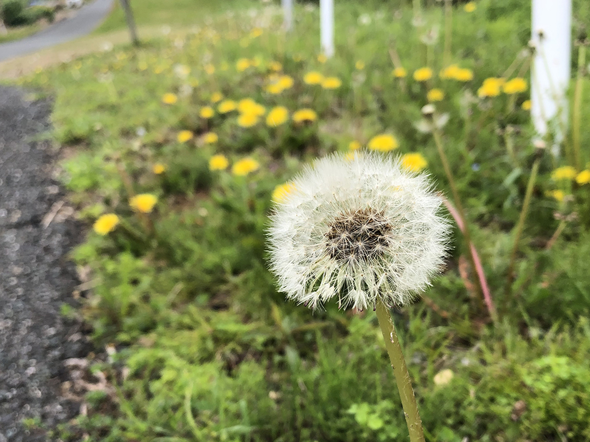 視点のちがいに気づくこと。