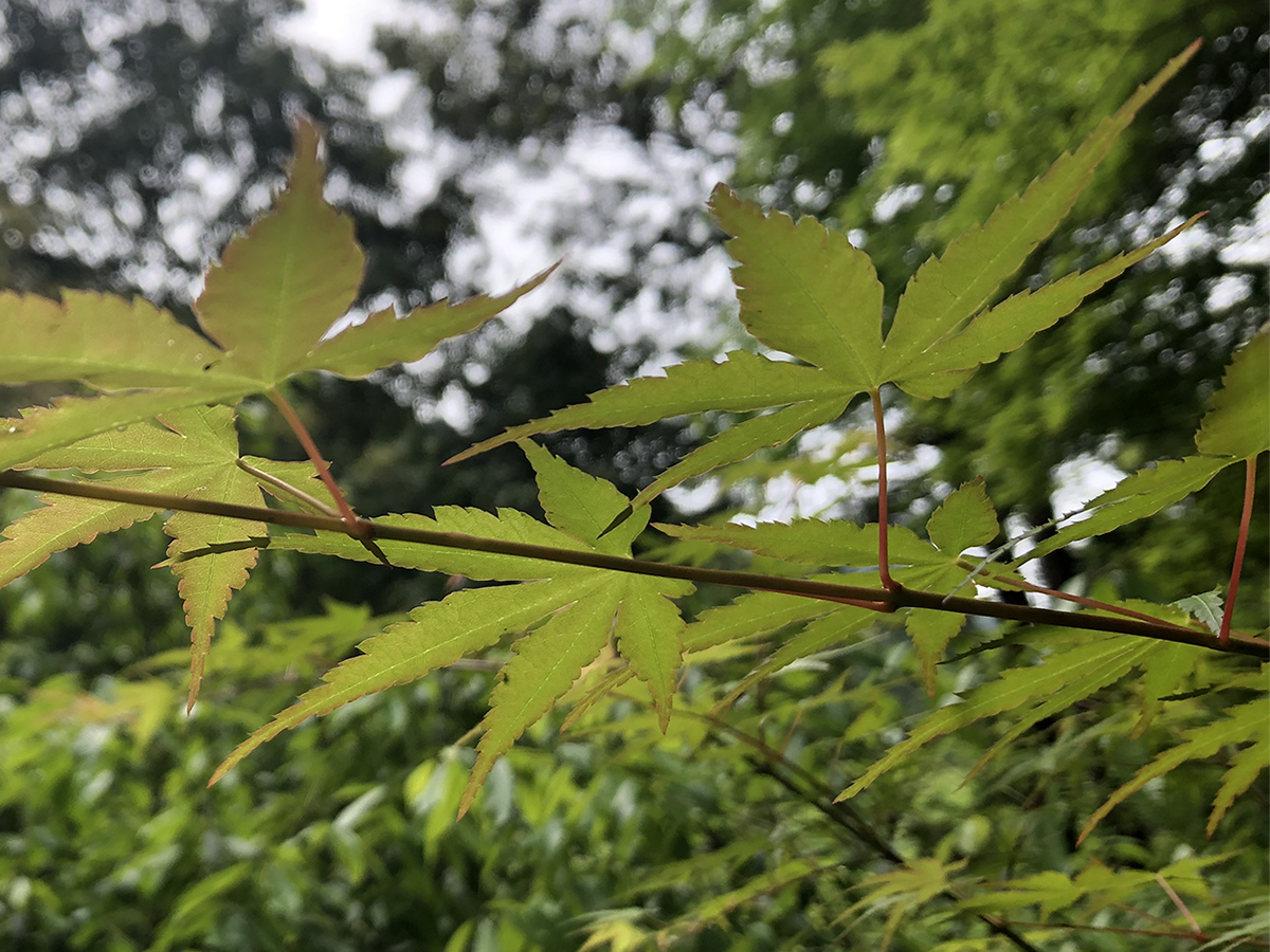 感覚で、良質さを感じるために。