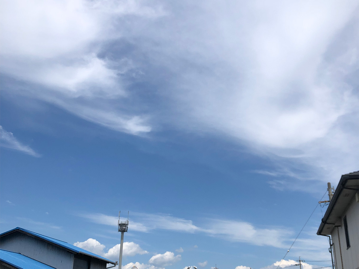 この季節のローストの取り組みは、忙し無い。