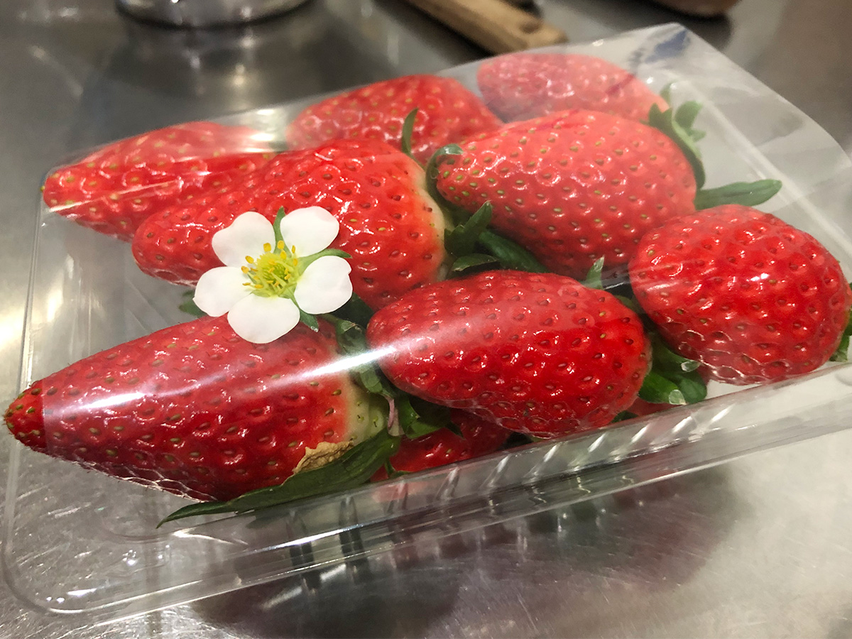 12/24(水)〜25(木)は、クリスマスケーキの予約販売のため喫茶コーナーがご利用できません。