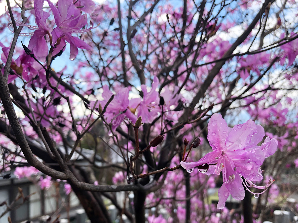 ローストの進化!それが”To make clean roast”!